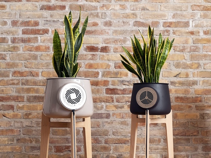 Clairy-Plant-Powered-Air-Purifier-1