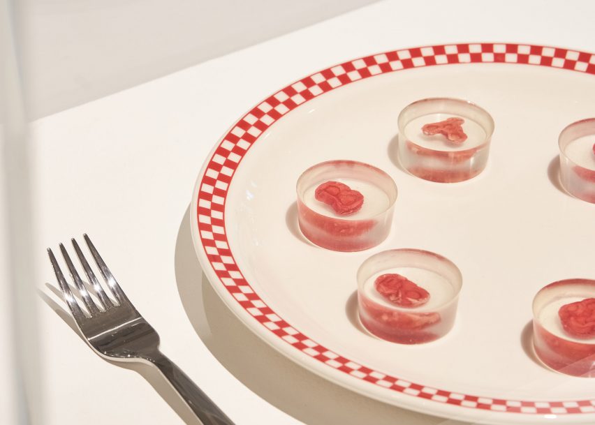 The steak grown from human cells by Andrew Pelling, Orkan Telhan and Grace Knight on display as part of Designs of the Year