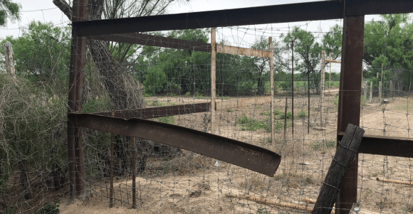 Kris Ede photo_1_Brian King fence.jpeg.png